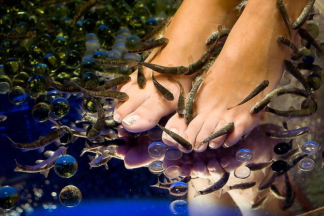 90-Minute Aroma Oil Massage plus 20' min Free Fish Pedi - The Fish Pedi: Warm Water, Little Fish, Big Texture Changes
