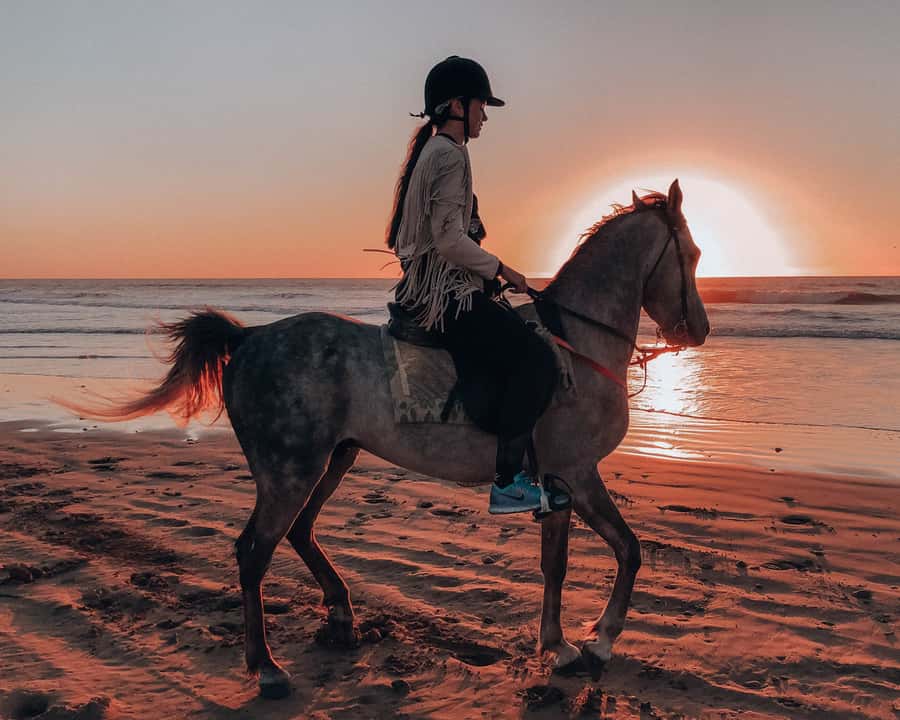 Agadir: Sunset Horse Riding Experience And Relaxing Massage - Key Points to Know Before You Go