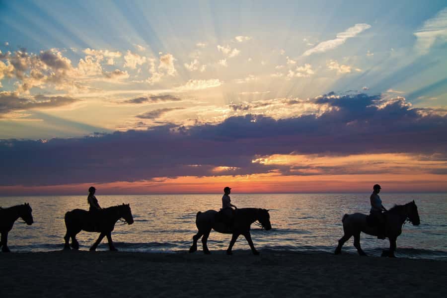 Agadir: Sunset Horse Riding Experience And Relaxing Massage - The Horses: Barb Arabian Riding With Skill-Based Options