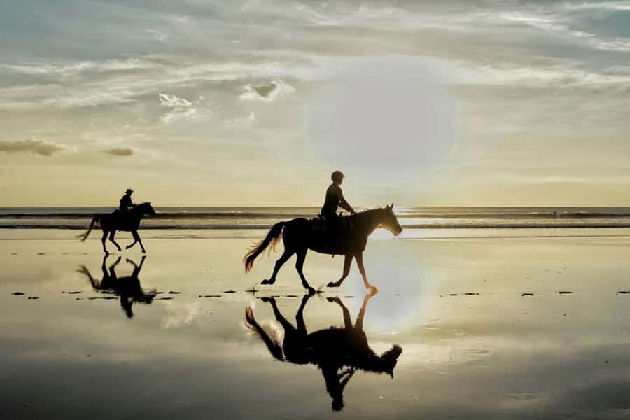 Agadir: Sunset Horse Riding Experience And Relaxing Massage - Your 4-Hour Flow: Pickup, 2-Hour Ride, Hammam, Argan Massage