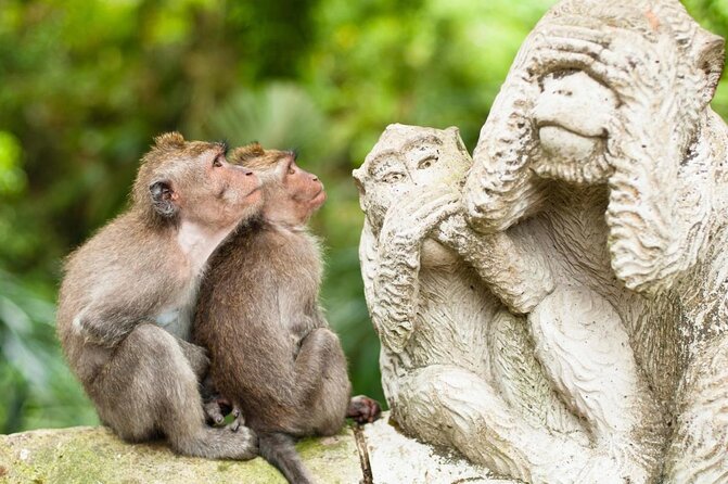 Bali Rafting + Rice Terrace + 1,5Hrs Balinese Massage + Lunch - Key things that make this day work so well