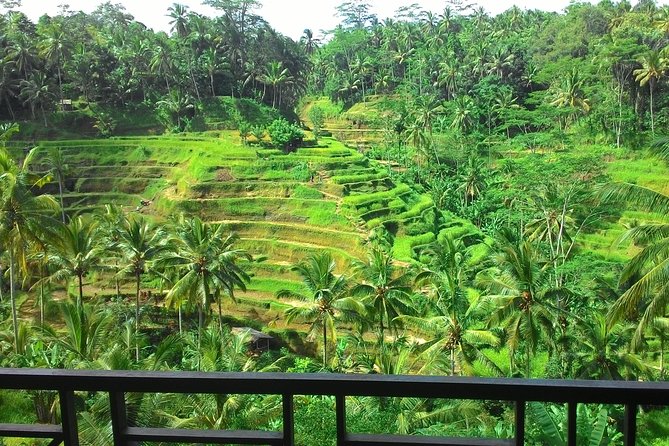 Bali Rafting + Rice Terrace + 1,5Hrs Balinese Massage + Lunch - From pickup to Ayung River: how the 10-hour plan flows