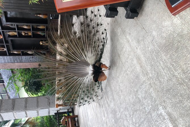Chongqing Luxury Hot Spring and Massage Luxury Meal Private Tour - A practical wrap-up: should you book this Chongqing hot spring and massage day?