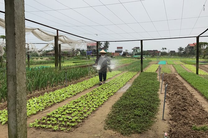 Gardening at Tra Que Vegetable Village and cooking class - Herbal Foot Wash and Foot Massage: Comfort After the Work