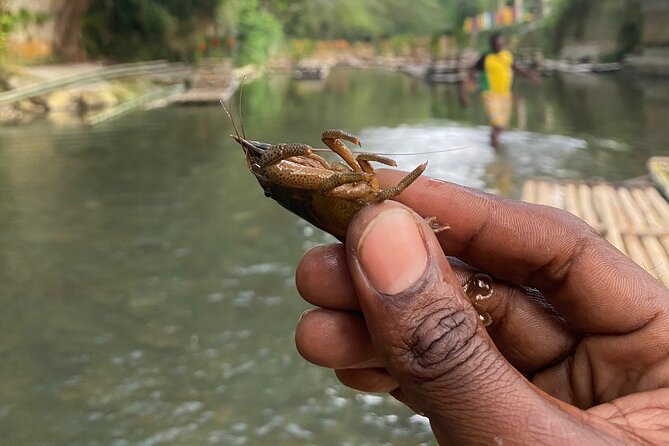 Great River Rafting - Limestone Foot Massage and ATV Rides From Montego Bay - Who Should Book This (and Who Might Think Twice)