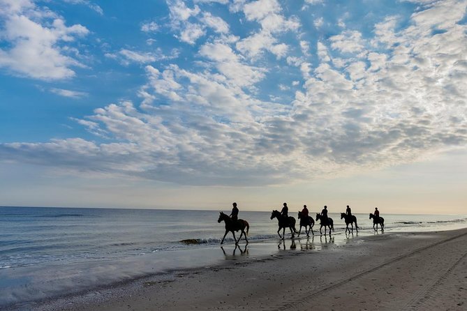 Horse Riding By The Beach With Hammam And Massage - Price and value: is $104.54 a fair deal for Agadir?