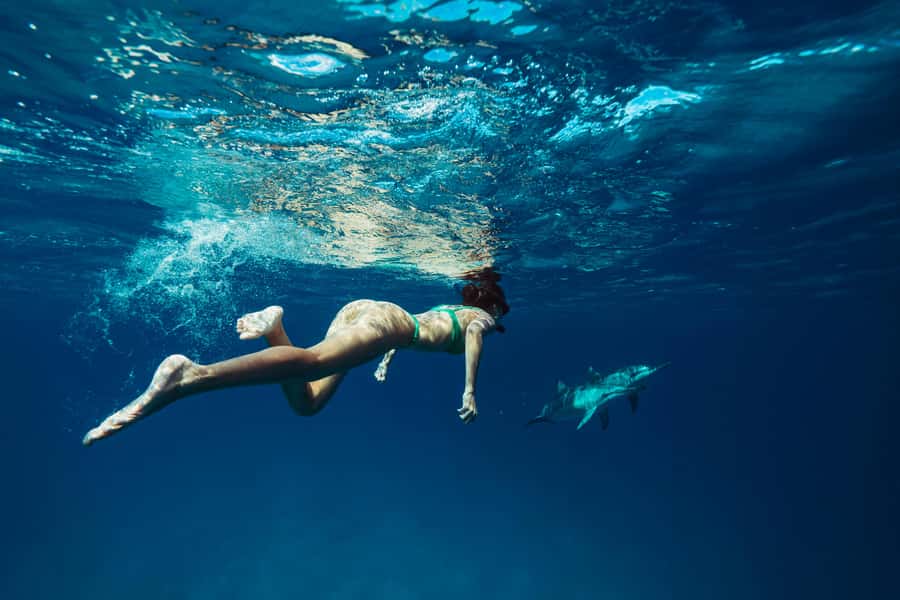 Hurghada: All-Inclusive Elite VIP Dolphin House & Massage - The snorkeling schedule: three reef stops, guided help, real time in water