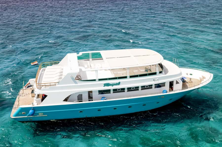 Hurghada: All-Inclusive Elite VIP Dolphin House & Massage - Breakfast to lunch: what’s included and why the food feels like part of the value