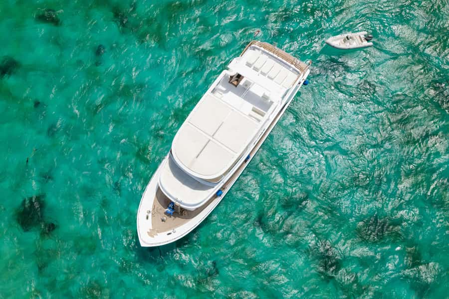 Hurghada: All-Inclusive Elite VIP Dolphin House & Massage - Weather, seasickness, and dolphin rules that affect your day