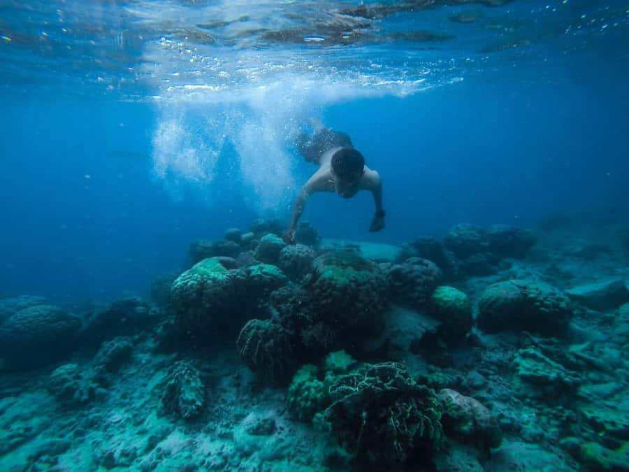 Hurghada:Luxury Diving & Snorkeling inc/Island/Lunch/Massage - Orange Bay: the beachy island stop that sets the mood