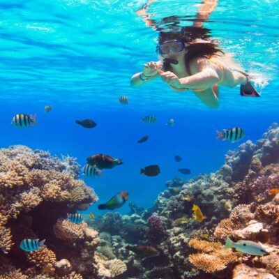 Hurghada:Luxury Diving & Snorkeling inc/Island/Lunch/Massage - Getting picked up and getting out on the water