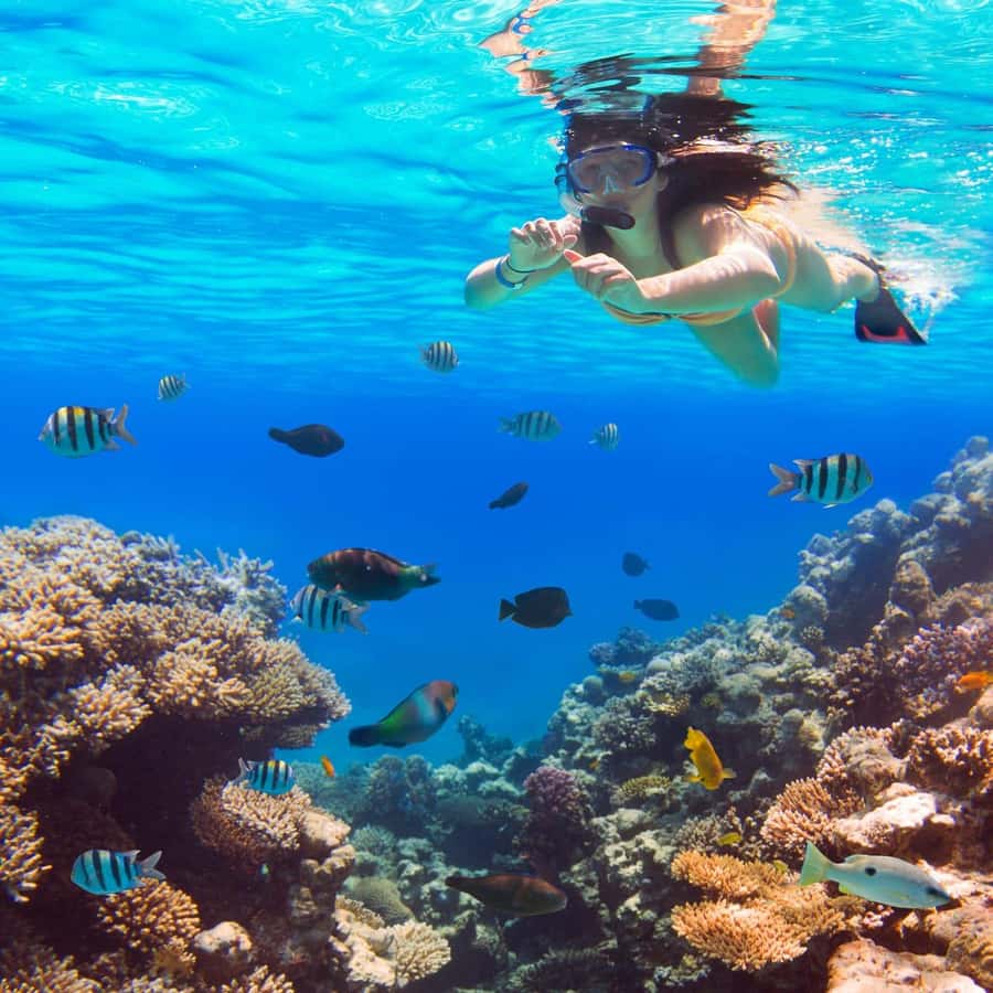 Hurghada:Luxury Diving & Snorkeling inc/Island/Lunch/Massage - Getting picked up and getting out on the water