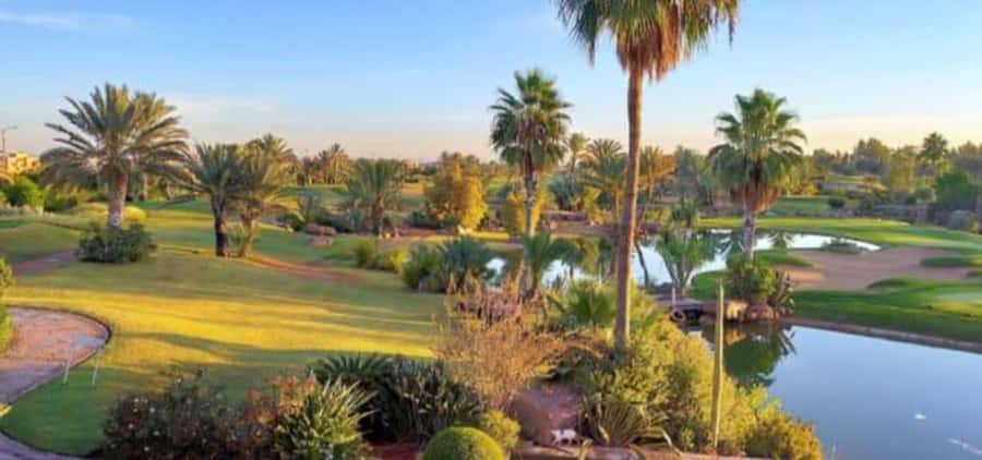 Marrakech: Hammam, Massage and Gourmet Experience - Entering a Calm Setting on the Course (Not Just a Room)