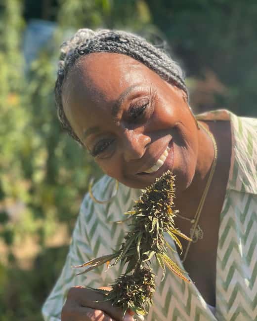 Montego Bay: Cannabis Farm, Bamboo Rafting, & Foot Massage - Should You Book This Montego Bay Cannabis Farm, Lethe River Rafting, and Limestone Massage Tour?