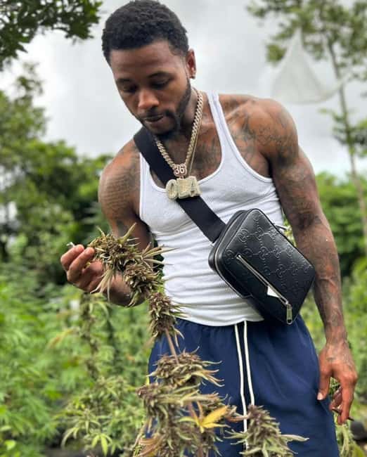 Montego Bay: Cannabis Farm, Bamboo Rafting, & Foot Massage - The Cannabis Farm Stop: Culture, Planting, and Why It Matters