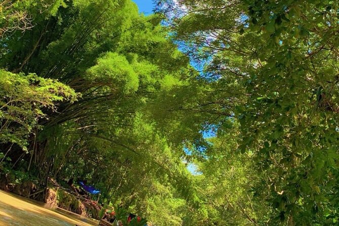 Private Bamboo River Rafting & Foot Massage from Montego Bay - FAQ