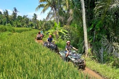 Private Quad Bike ATV with 2-hour Bali Massage and Spa - Hotel pickup to ATV briefing: how the day starts smooth