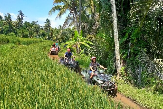 Private Quad Bike ATV with 2-hour Bali Massage and Spa - Hotel pickup to ATV briefing: how the day starts smooth