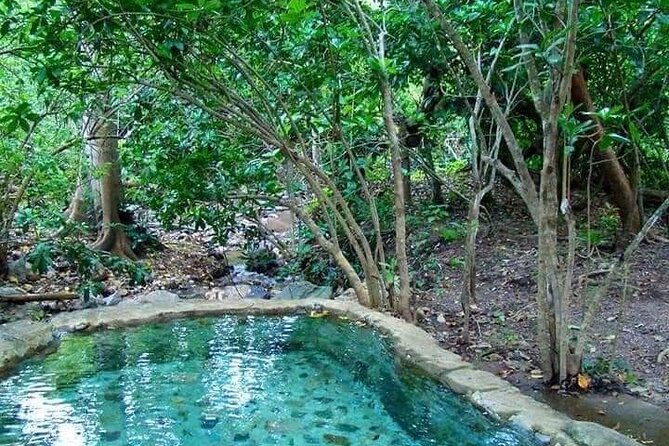 Shaded Hot Spring, Massage and Mex Grill in Puerto Vallarta - Market Shopping and Tortilla Factory: Your Lunch Starts Before the Grill