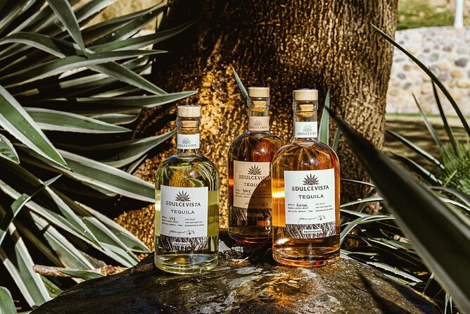 Volcanic Hot Springs, Foot Massage, Tequila & Mex BBQ - Should You Book This Tour?